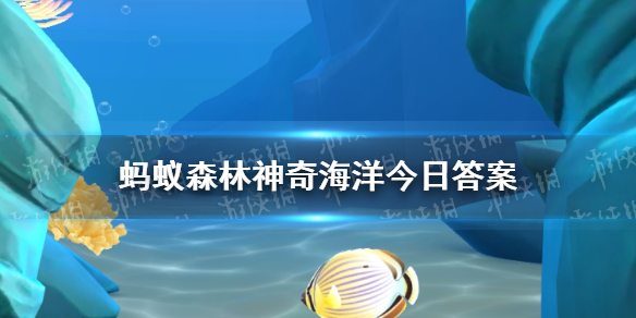 支付宝神奇海洋2024年11月28日今日答案